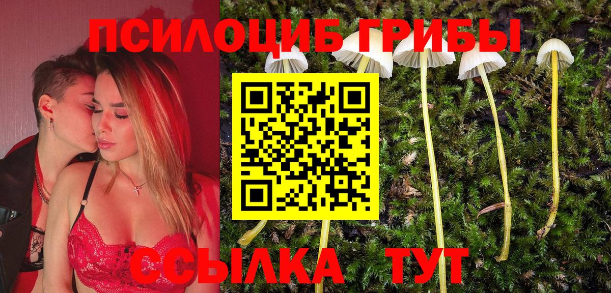 Великий Новгород  Псилоцибиновые грибы GOLDEN TEACHER  Псилоцибиновые грибы Psilocybe  Вход с VPN 